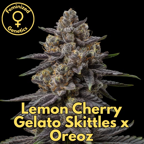 Lemon Cherry Gelato Skittles × Oreoz