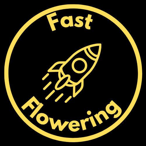 Fast Flowering Seeds