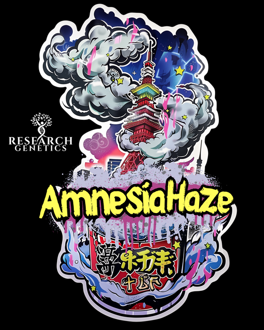 Amnesia