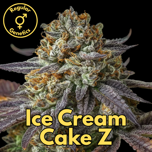 Ice Cream Cake Z (Wedding Cake × Gelato #33 × Tahoe Chem Z)