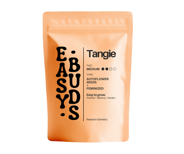 EasyBuds – Tangie Auto (3 Seeds)