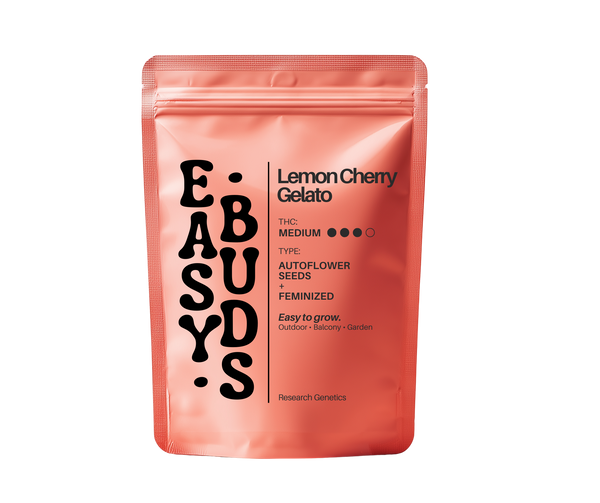 EasyBuds – Lemon Cherry Gelato Auto (3 Seeds)