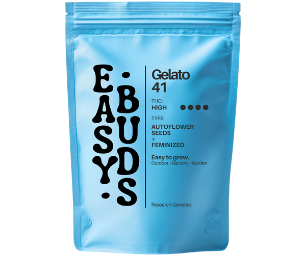 EasyBuds – Gelato 41 Auto (3 Seeds)