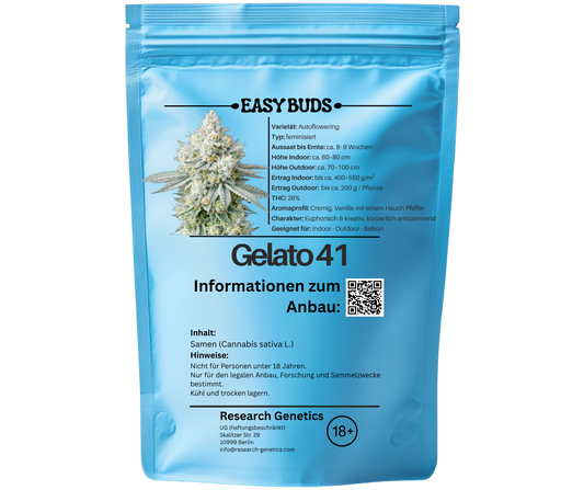 EasyBuds – Gelato 41 Auto (3 Seeds)