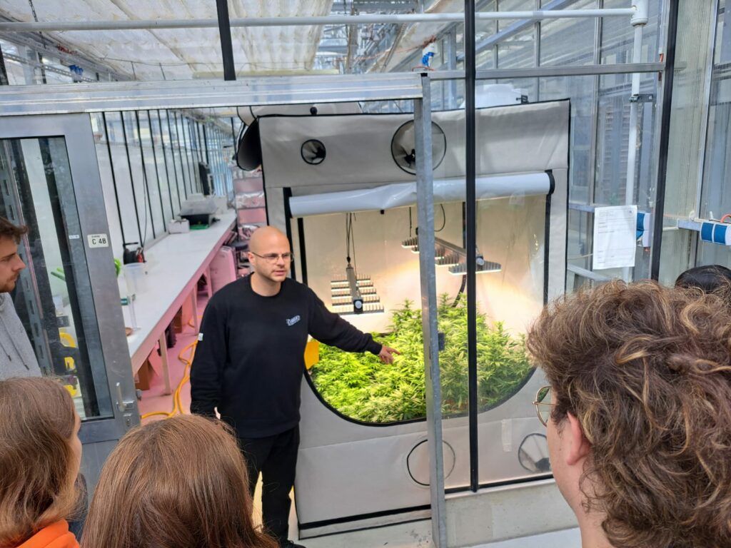 Demecan Cannabis Research Class