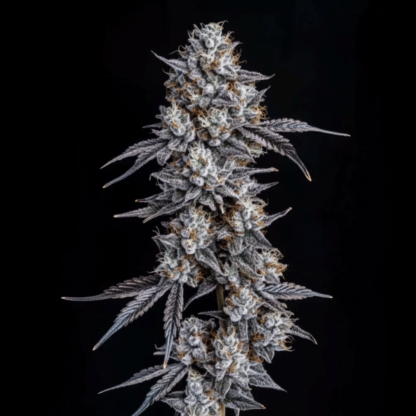 Pineapple Fruz