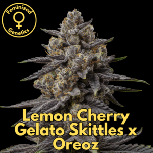Lemon Cherry Gelato Skittles x Oreoz