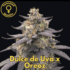 Dulce de Uva x Oreoz