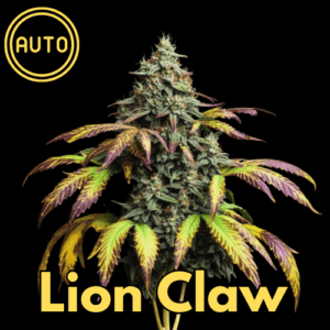 Lion Claw (Auto, feminized)