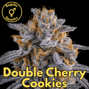 Double Cherry Cookies